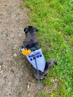 TeamWalk_VabWalk_15.05.24_004.jpg