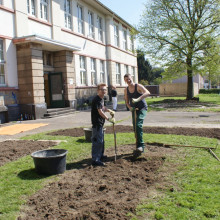 DSC03524.jpg