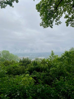 TeamWalk_VabWalk_15.05.24_002.jpg