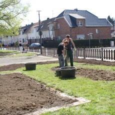 DSC03526.jpg