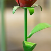 rose.jpg