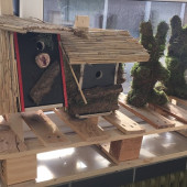 Hase_Vogelhaus.jpg
