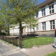 DSC03518.jpg